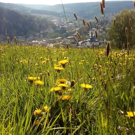 Apartment Doehlerwald Klingenthal