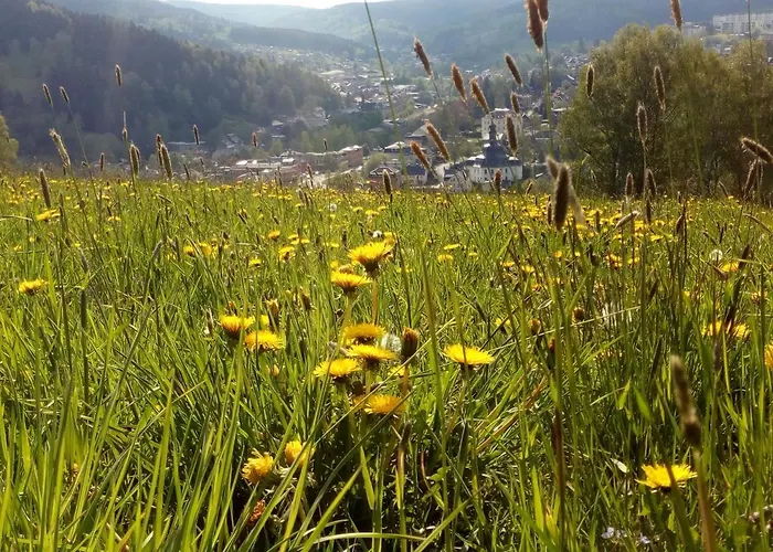 Apartment Doehlerwald Klingenthal